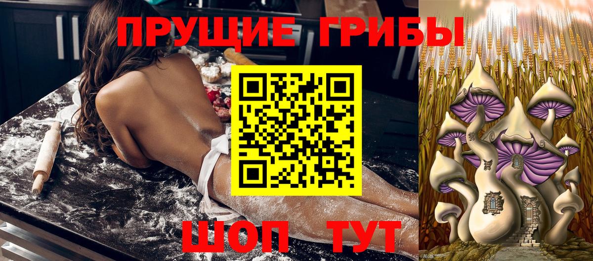 Красноармейск  Псилоцибиновые грибы GOLDEN TEACHER  купить наркотики сайты  Вход с VPN 